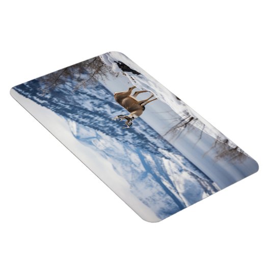 magneethert magneet (Rechterzijde)