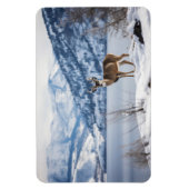 magneethert magneet (Verticaal)