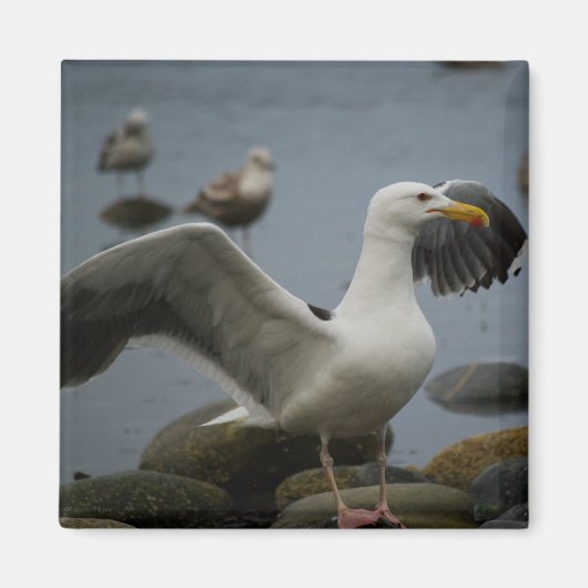 Magneetje 'Niet Storen' Magneet (Voorkant)