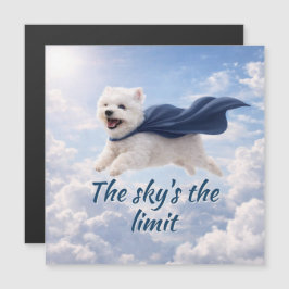 Magneetkaart 'De lucht is de limiet'