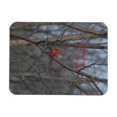 Magneetkardinalen verschijnen wanneer engelen in d magneet (Horizontaal)