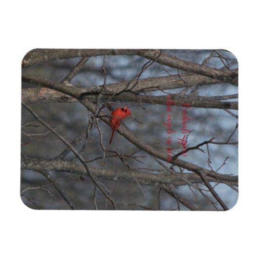 Magneetkardinalen verschijnen wanneer engelen in d magneet (Horizontaal)