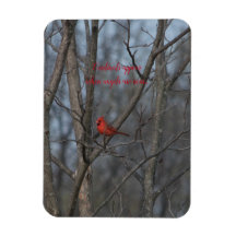 Magneetkardinalen verschijnen wanneer engelen in d