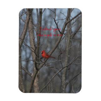 Magneetkardinalen verschijnen wanneer engelen in d magneet