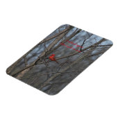 Magneetkardinalen verschijnen wanneer engelen in d magneet (Linkerzijde)