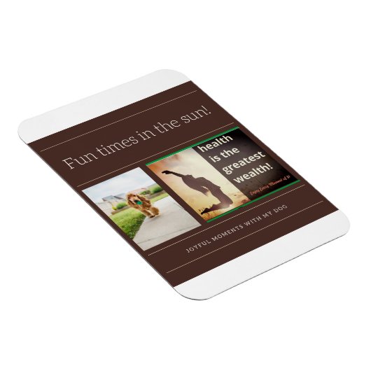 magneetpaal magneet (Rechterzijde)