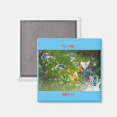 Magneetvliegers Magneet (Voorkant / Achterkant)