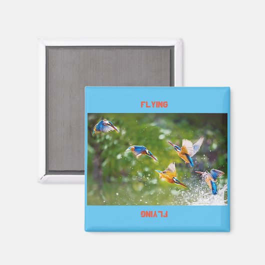 Magneetvliegers Magneet (Voorkant / Achterkant)