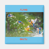 Magneetvliegers Magneet (Voorkant)