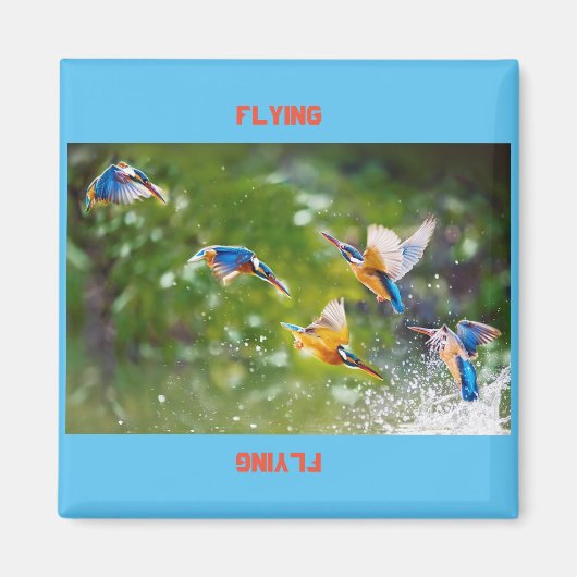 Magneetvliegers Magneet (Voorkant)