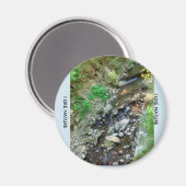 Magnesium op de koelkast magneet (Voorkant / Achterkant)