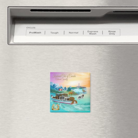 Magnet (Insitu (Vaatwasser))