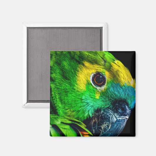 Magnet (Voorkant / Achterkant)