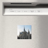 Magnet (Insitu (Vaatwasser))