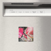 Magnet (Insitu (Vaatwasser))