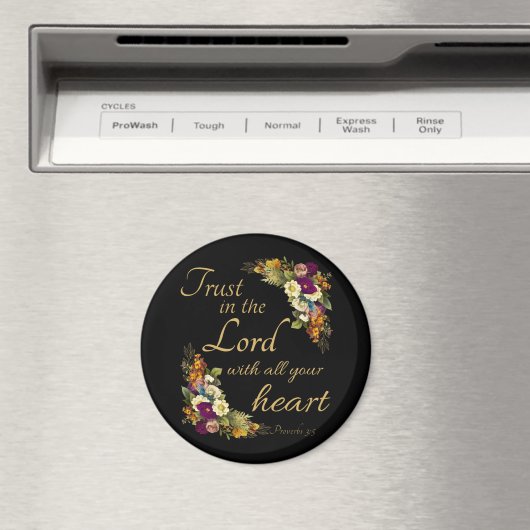 Magnet (Insitu (Vaatwasser))