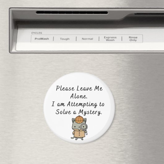 Magnet (Insitu (Vaatwasser))