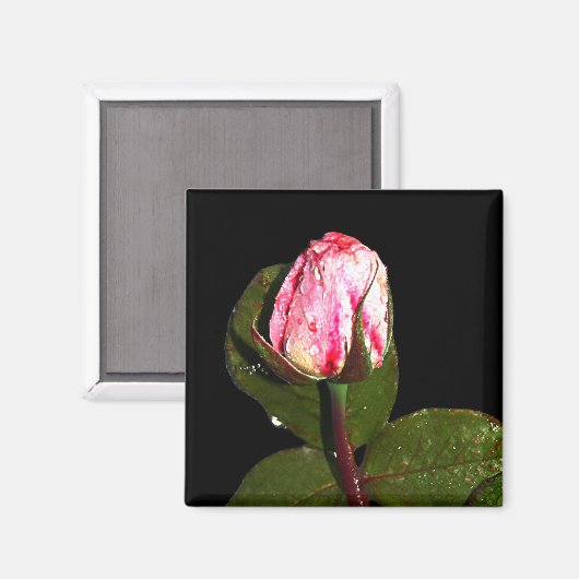 Magnet (Voorkant / Achterkant)