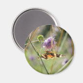 Magnet (Voorkant / Achterkant)