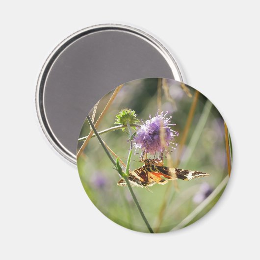 Magnet (Voorkant / Achterkant)