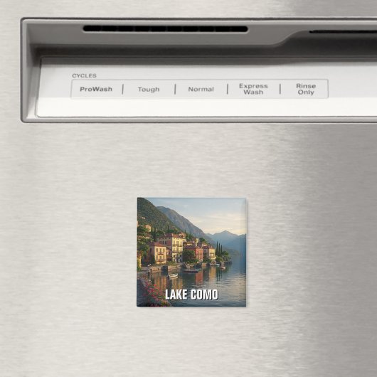 Magnet (Insitu (Vaatwasser))