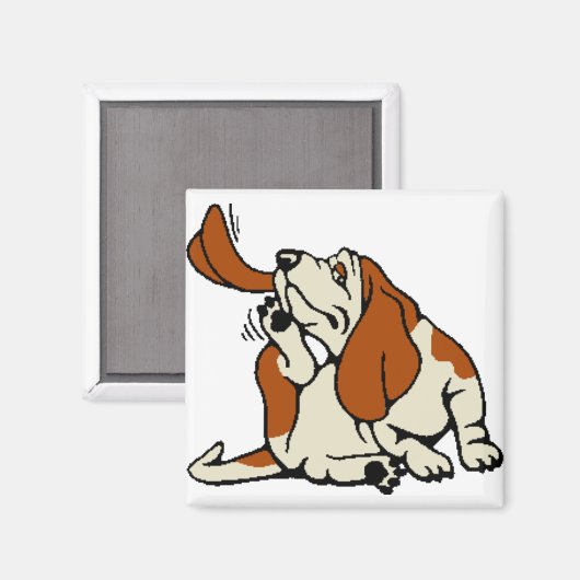 Magnet (Voorkant / Achterkant)