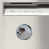 Magnet (Insitu (Vaatwasser))