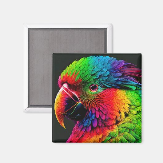 Magnet (Voorkant / Achterkant)