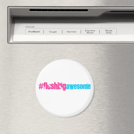 Magnet (Insitu (Vaatwasser))