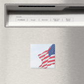 Magnet (Insitu (Vaatwasser))