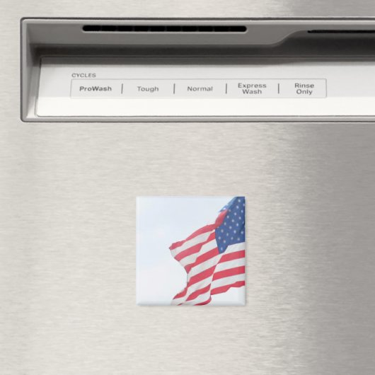 Magnet (Insitu (Vaatwasser))