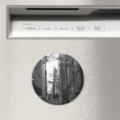 Magnet (Insitu (Vaatwasser))