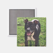 Magnet (Voorkant / Achterkant)