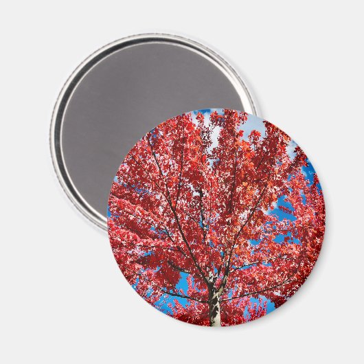 Magnet (Voorkant / Achterkant)