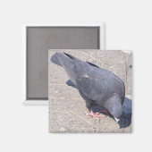 Magnet (Voorkant / Achterkant)