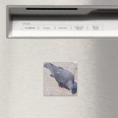 Magnet (Insitu (Vaatwasser))