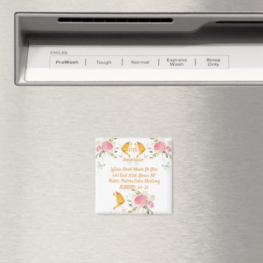 Magnet (Insitu (Vaatwasser))