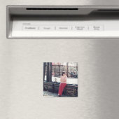 Magnet (Insitu (Vaatwasser))