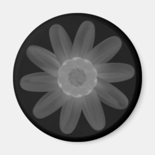 Magnet