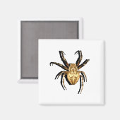 Magnet (Voorkant / Achterkant)