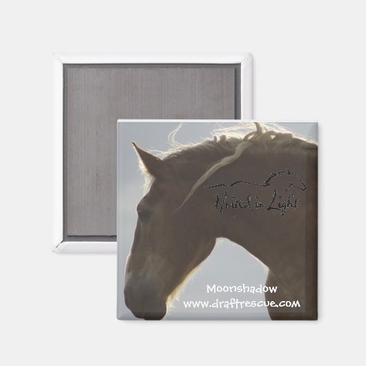 Magnet (Voorkant / Achterkant)