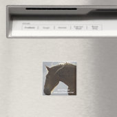 Magnet (Insitu (Vaatwasser))