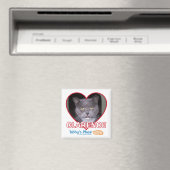 Magnet (Insitu (Vaatwasser))