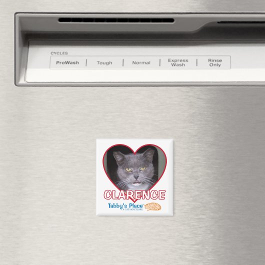 Magnet (Insitu (Vaatwasser))