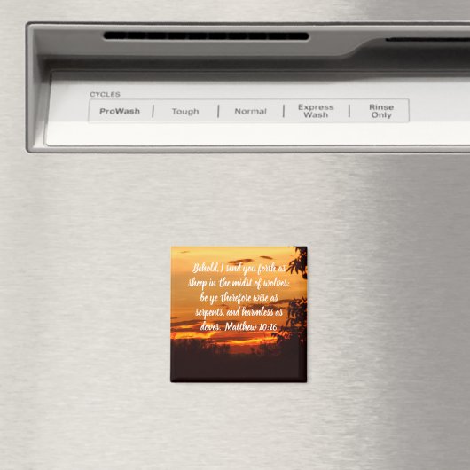 Magnet (Insitu (Vaatwasser))