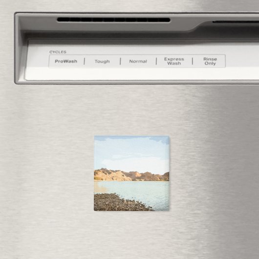 Magnet (Insitu (Vaatwasser))