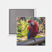 Magnet (Voorkant / Achterkant)