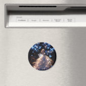 Magnet (Insitu (Vaatwasser))