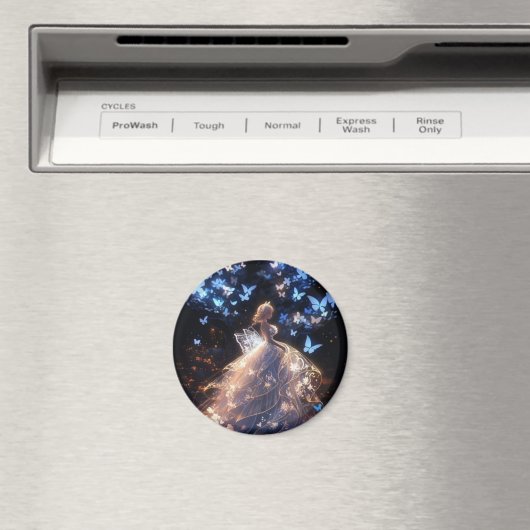 Magnet (Insitu (Vaatwasser))