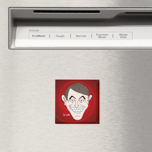 Magnet (Insitu (Vaatwasser))